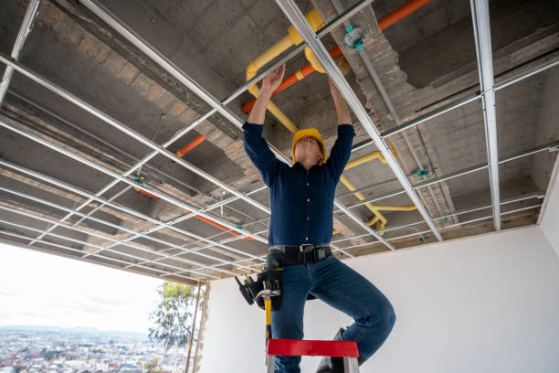 Best Sprinkler Systems  in Issaquah, WA